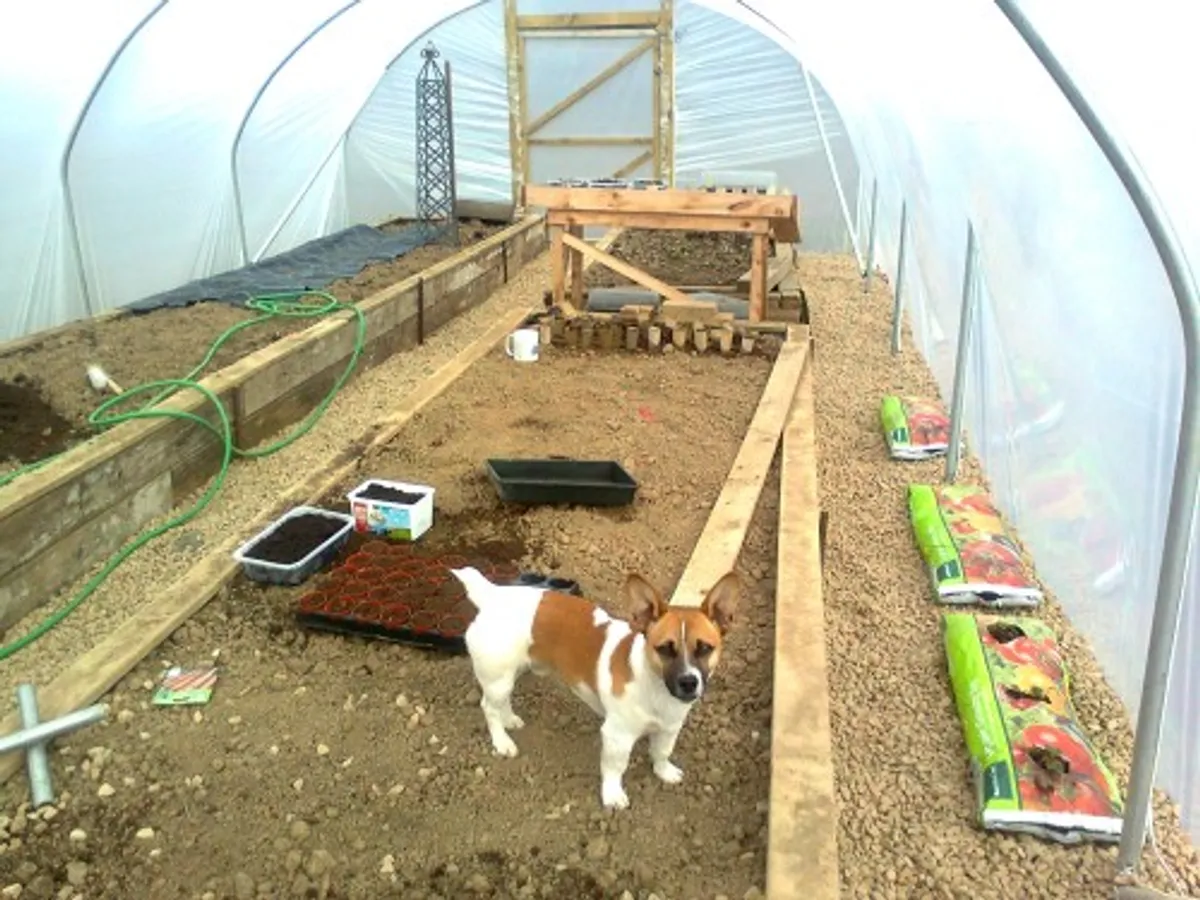 15ft 6in  wide polytunnel SPECIAL OFFER ON DIGGING - Image 3