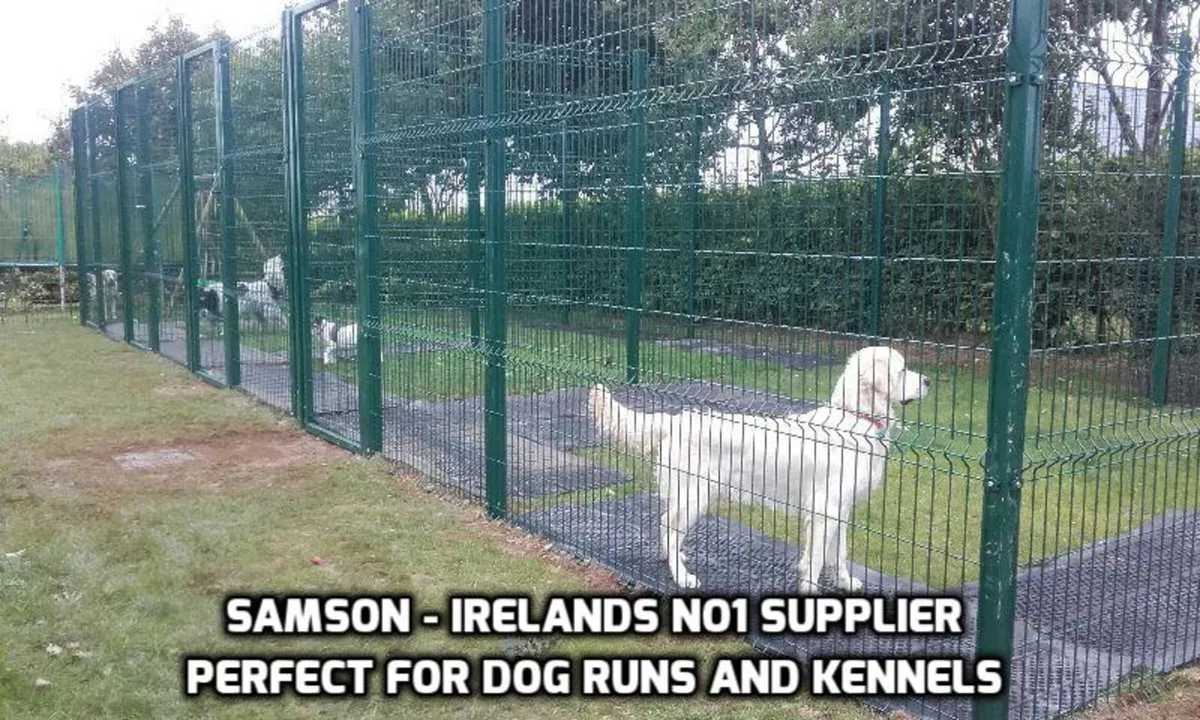 ‼️‼️BIG SALE ON‼️‼️ ..No Vat Irish buyers-save - Image 3