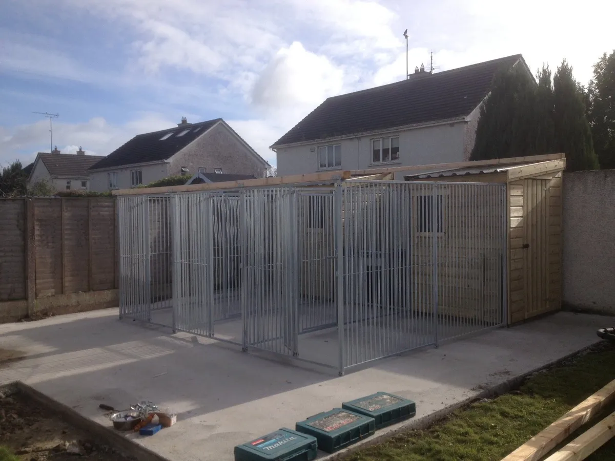 Dog Runs Ireland - Image 4