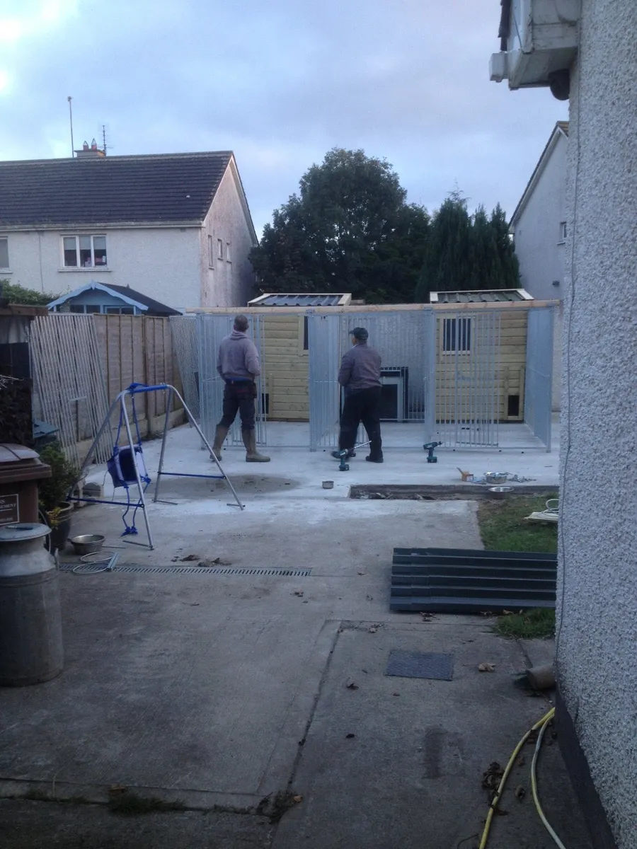 Dog Runs Ireland - Image 3