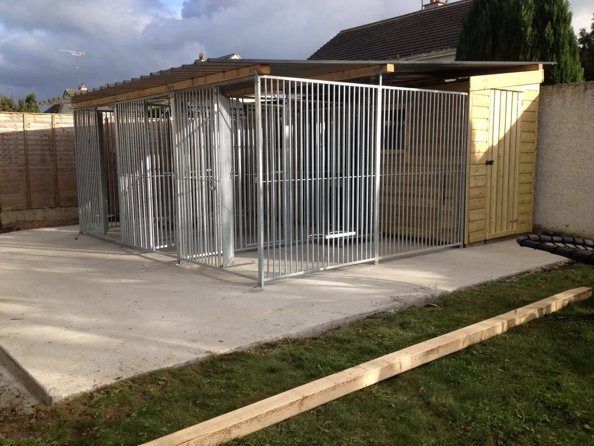 Dog Runs Ireland - Image 1