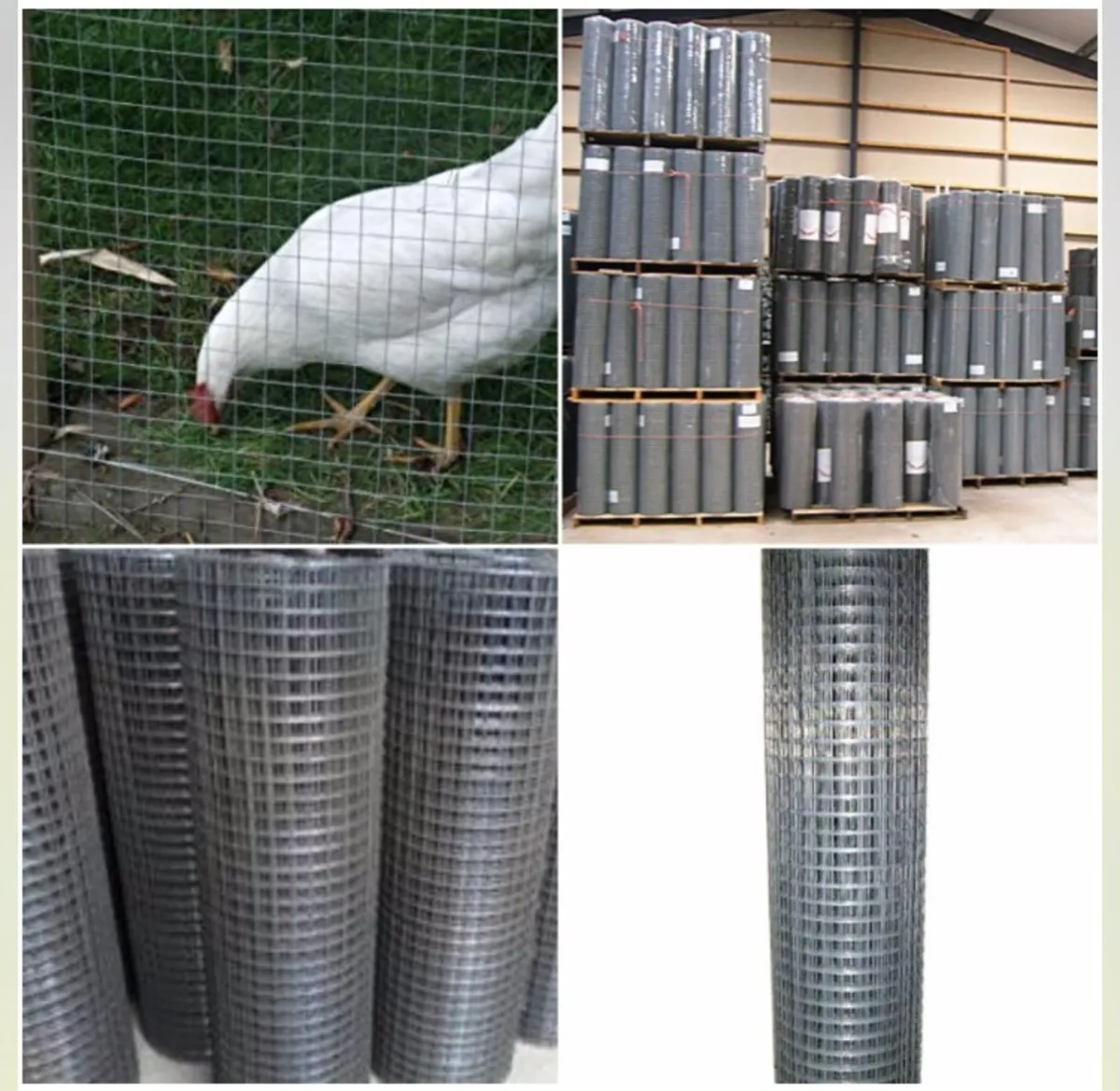 ALL IRELAND..🐑🐑 Sheepwire £40/€48/ 50m roll‼️‼️ - Image 4