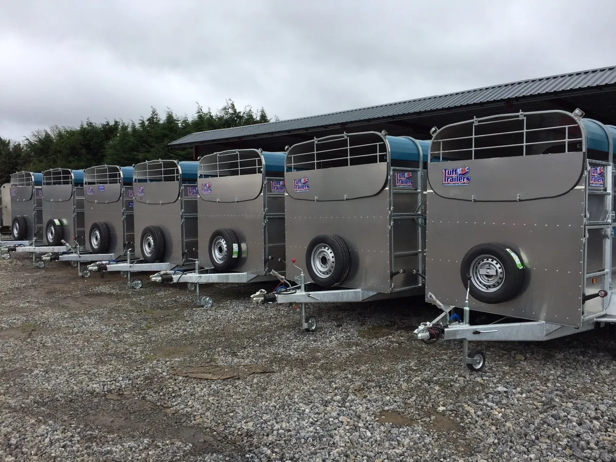 Tuffmac 12ft €23 per week Ifor Williams - Image 1
