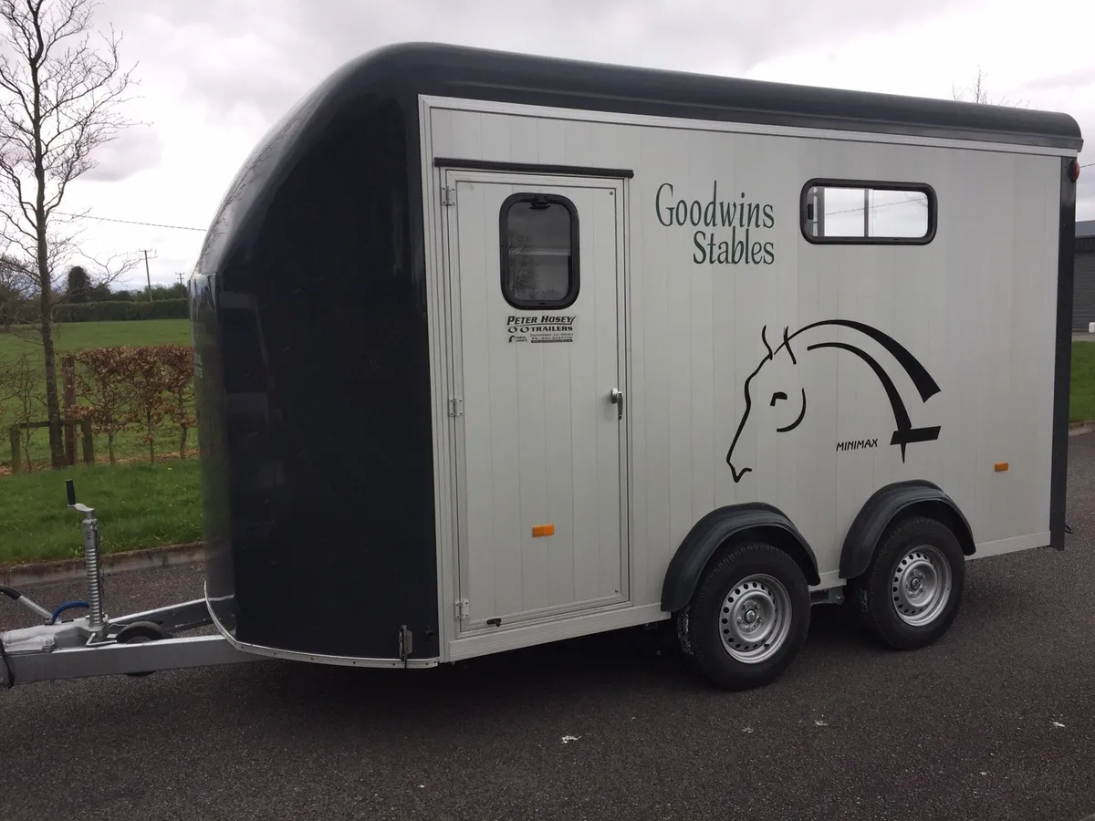 Cheval Liberte minimax - Image 4