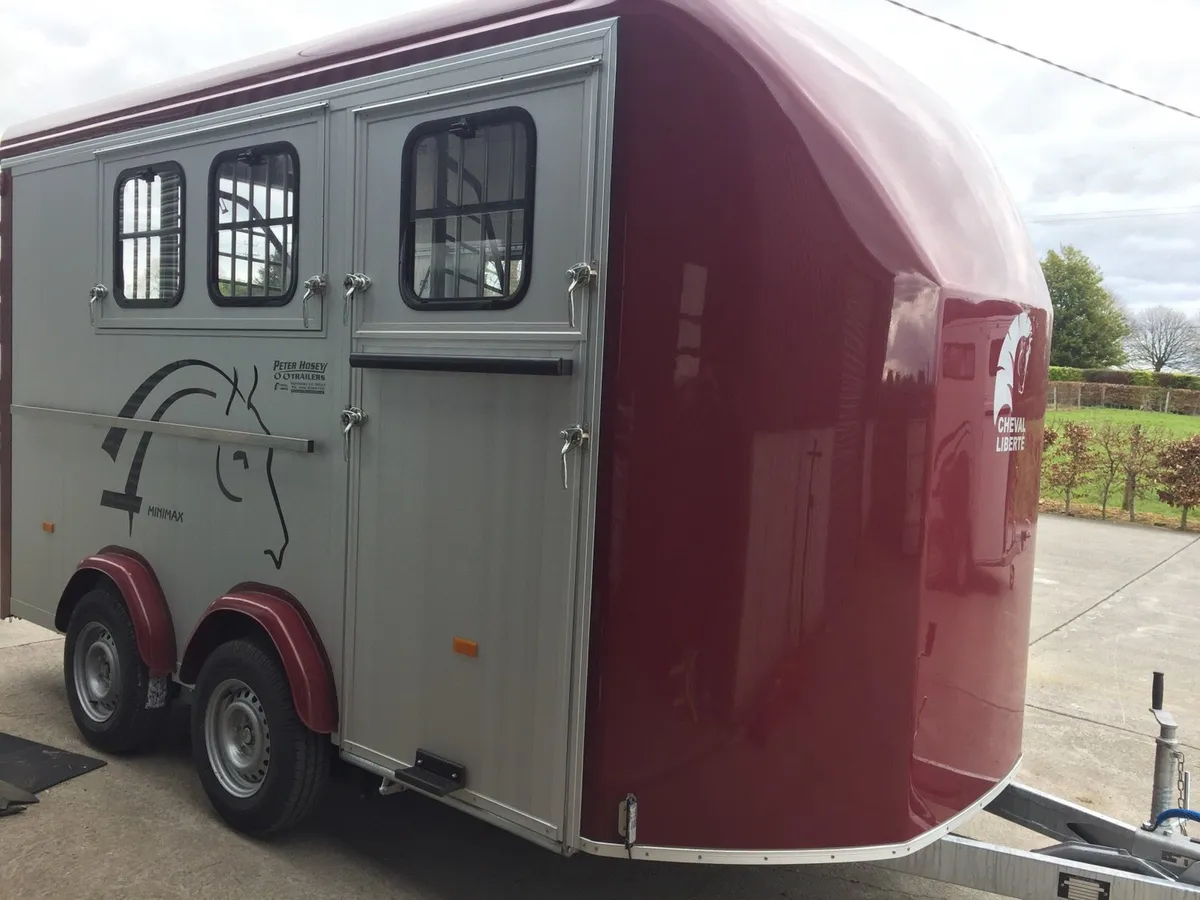 Cheval Liberte minimax - Image 1