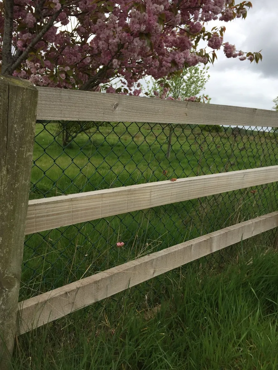 ‼️‼️BIG SALE ON  ‼️‼️ CHAINLINK - No Vat - Image 2