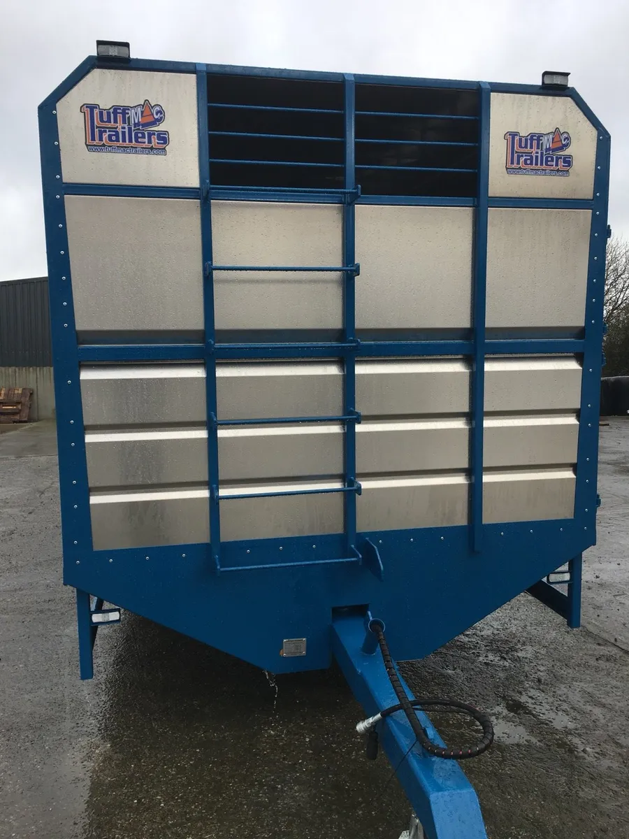 Tuffmac Ifor Williams Nugent livestock trailer - Image 4