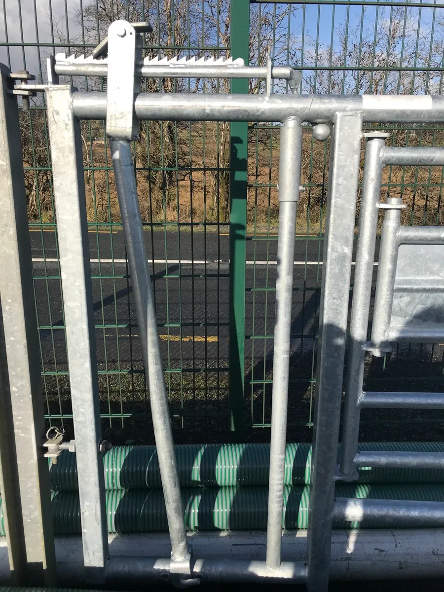 3 in 1 calving gate - Image 4