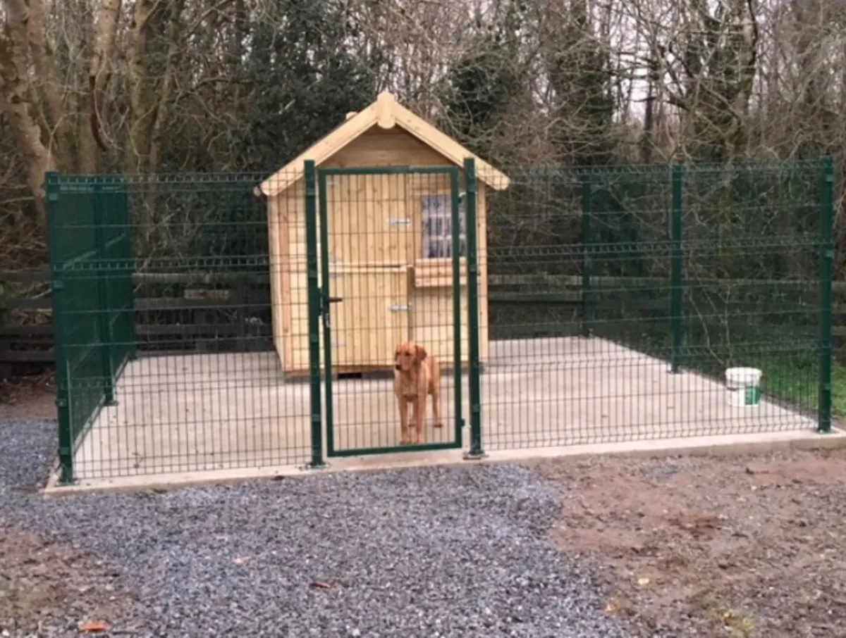 ‼️‼️BIG SALE ON‼️‼️ ..No Vat Irish buyers-save - Image 4