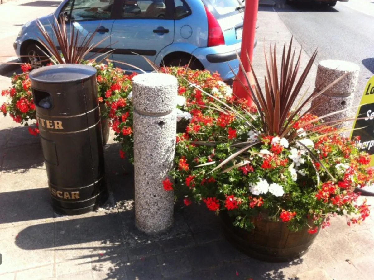 Whiskey barrels - WHISKEY OAK BARREL PLANTERS - Image 1