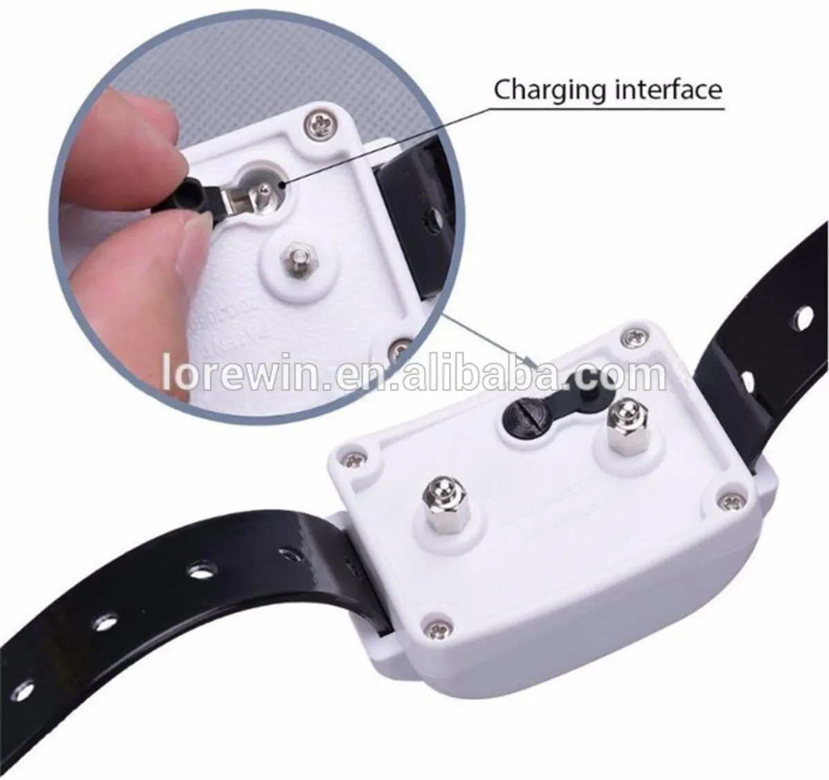 Wireless dog fence for two dogs - Image 3