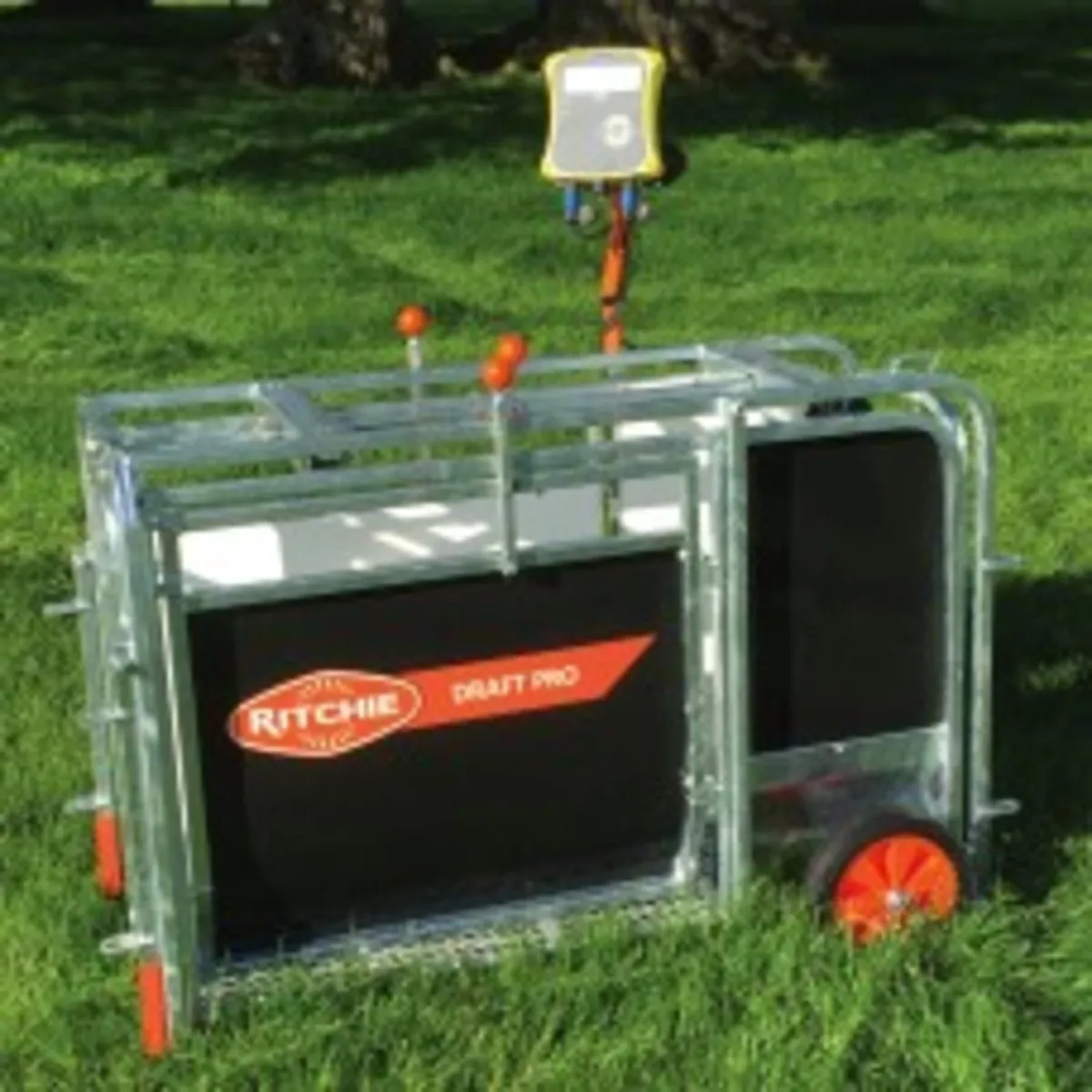 Lamb/Sheep/Pig/Cattle weighbridges/scales .. Leam - Image 2