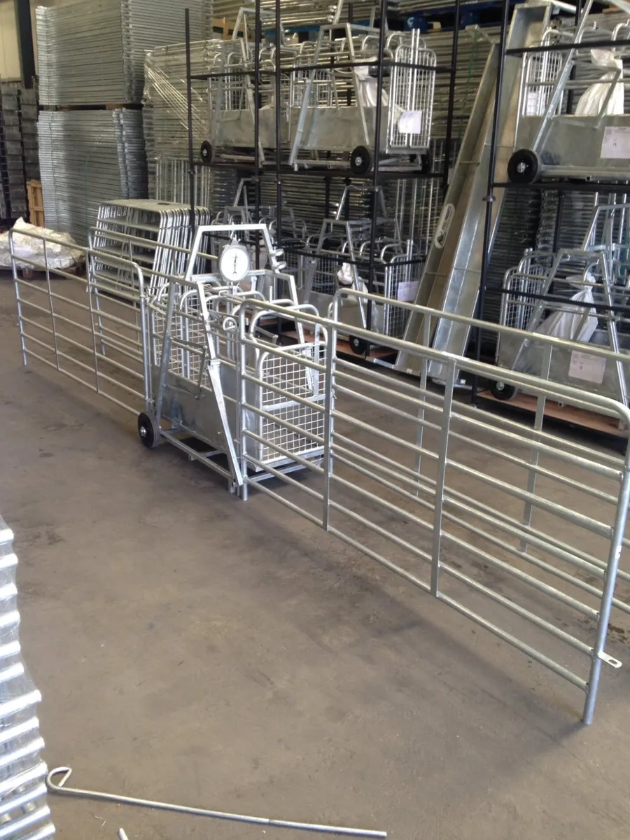 Buffalo steel products - Image 4