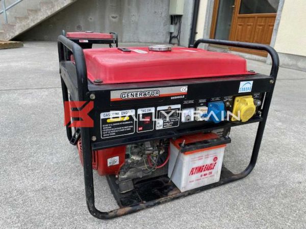 13HP Petrol Generator 254597670