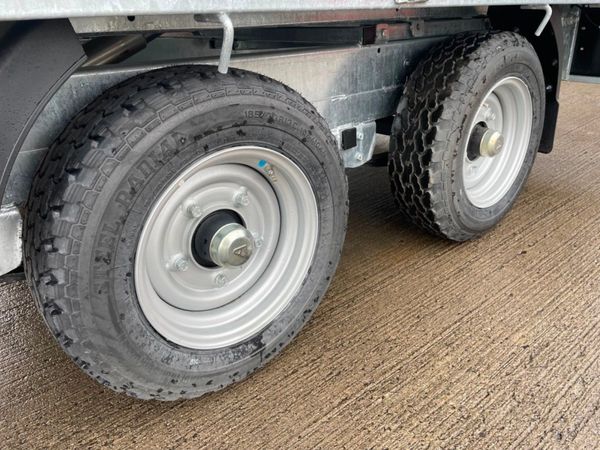 Nugent 10x6 Tipper 269735341