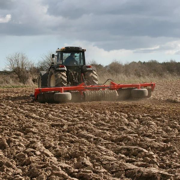 Cross Ring Roller-Tams approved 203274620