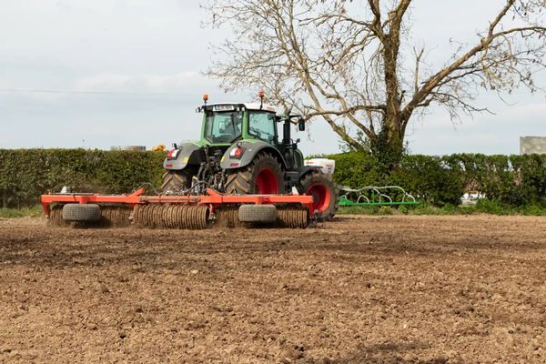 Cross Ring Roller-Tams approved 203274623