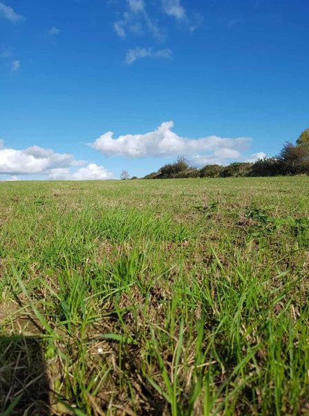 Rakeman 3M Grass Harrow with Apv MDP100 230310239