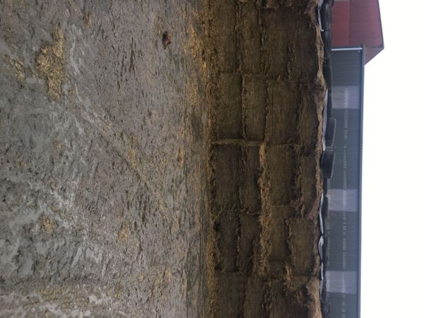 Combi cutter  3in 1, pit&bales 233103524