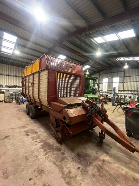 Silige wagan 353274399