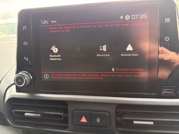 Citroen Berlingo Maxi LWB 356674354