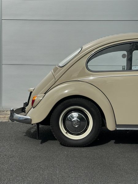 Volkswagen Beetle 1966 366273387