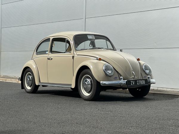 Volkswagen Beetle 1966 366273388