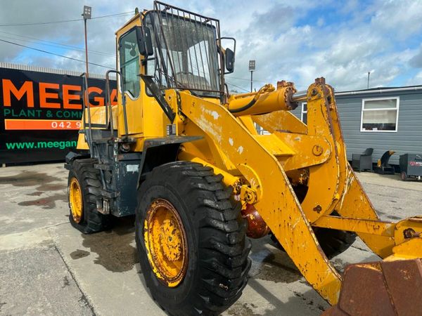 SEM ZL30F LOADING SHOVEL 377209792