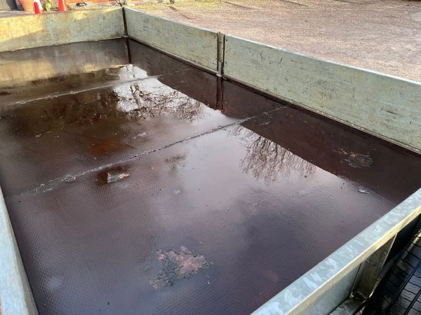 14ft ifor Williams 378204413