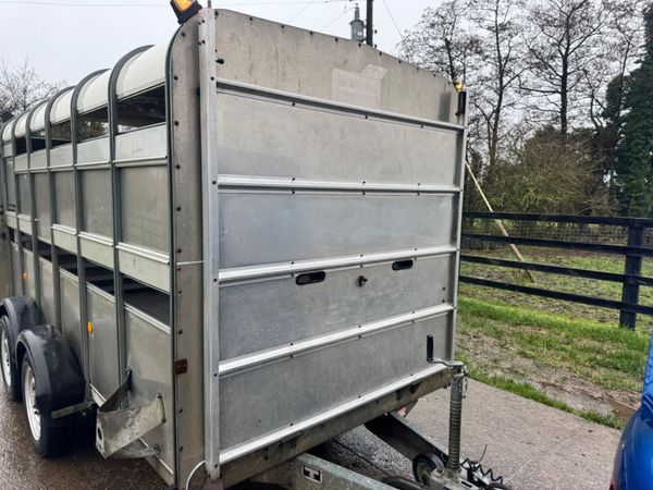 Ifor Williams 12ft Cattle Trailer 379952667