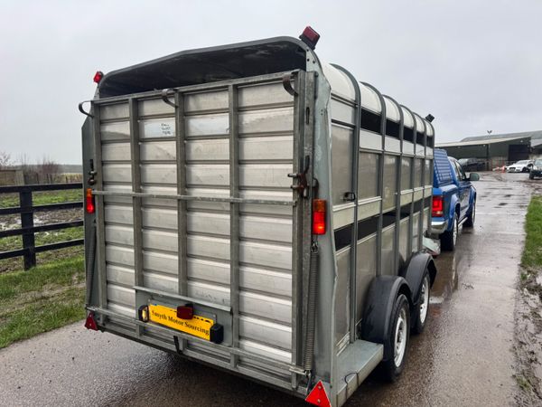 Ifor Williams 12ft Cattle Trailer 379952677
