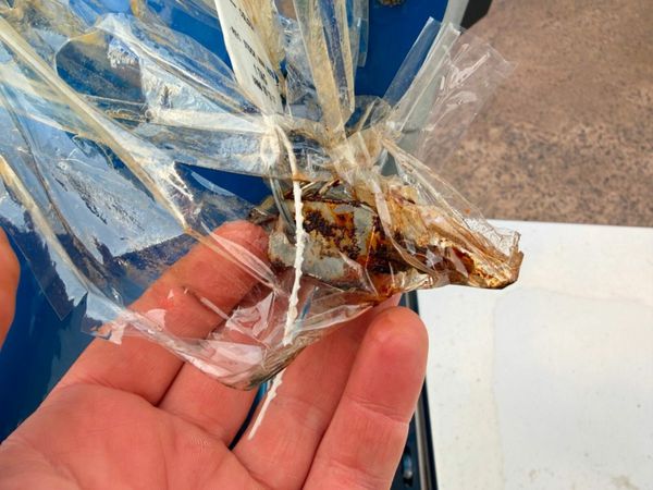 NEW 12,000 LITRES  FUEL BOWSER TANK ....2159H 379908672