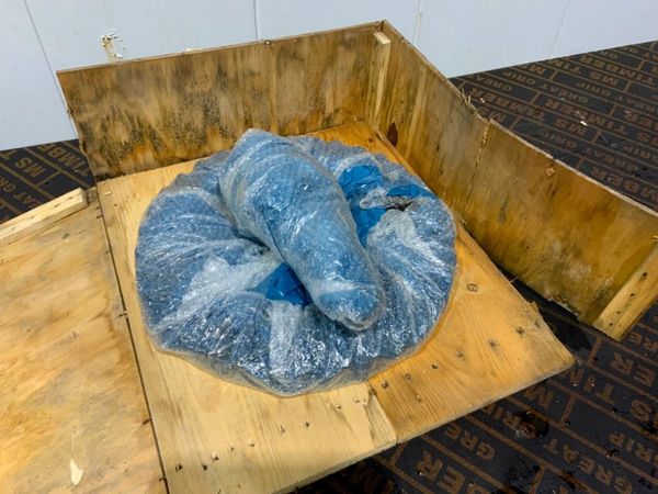 UNUSED CASE LOADER PINION GEAR......47870196. 380401965