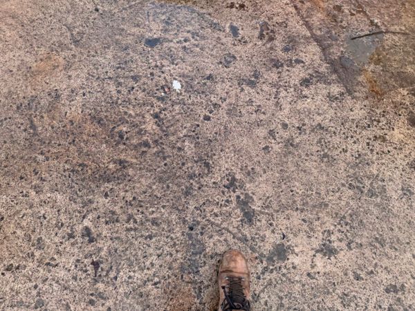 BOTTOM OPENING TIPPING SKIP .....373V 380819492