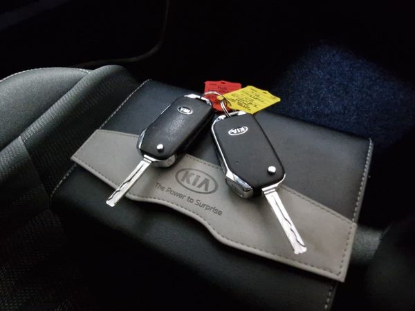 2022 Kia Sportage Commercial 1.6 Diesel 381147328