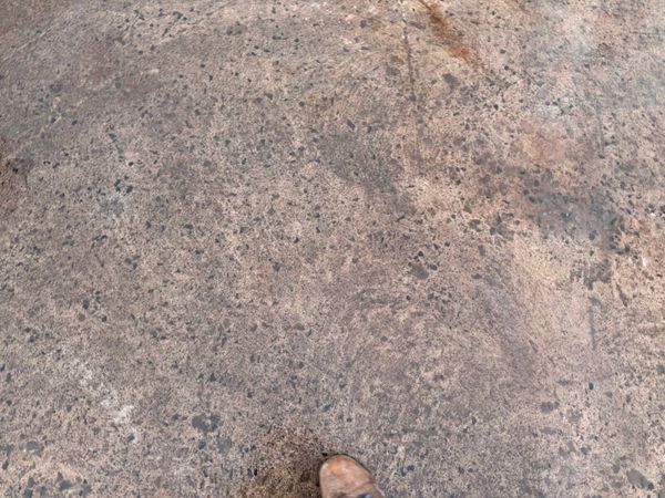 2018 AUDI Q5 engine and gearbox + parts 381313067