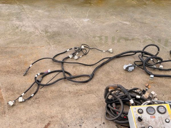 loom + control box + hydraulic pumps.....1231 381407301