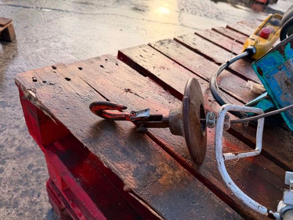 Electric Scaffold Hoist 200kg Builders Lifting Hoi 381609040