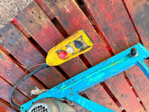 Electric Scaffold Hoist 200kg Builders Lifting Hoi 381609034