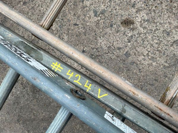 SCAFFOLDING ACCESS LADDERS.............424v. 383100008