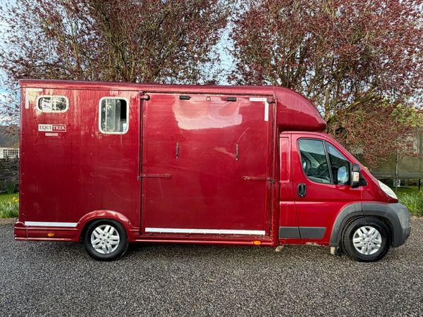 Peugeot Boxer Horse Transporter 4150KG 384481689