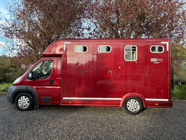 Peugeot Boxer Horse Transporter 4150KG 384481691