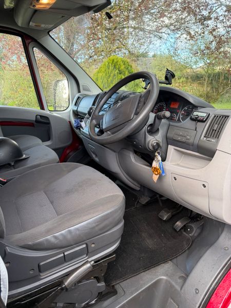 Peugeot Boxer Horse Transporter 4150KG 384481709