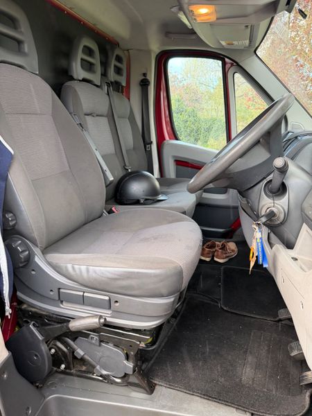Peugeot Boxer Horse Transporter 4150KG 384481714