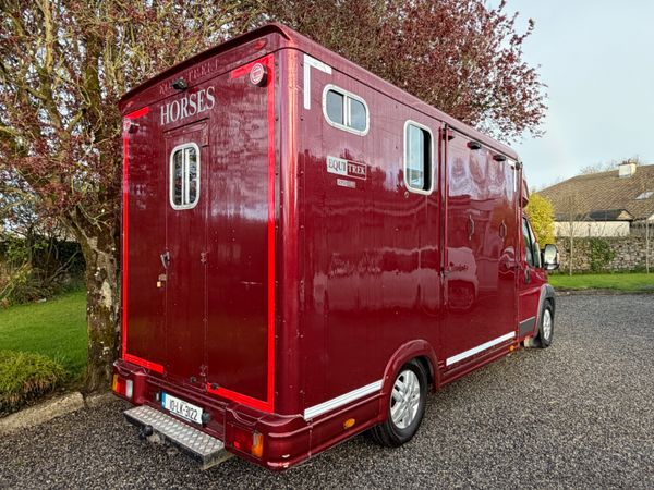 Peugeot Boxer Horse Transporter 4150KG 384481716