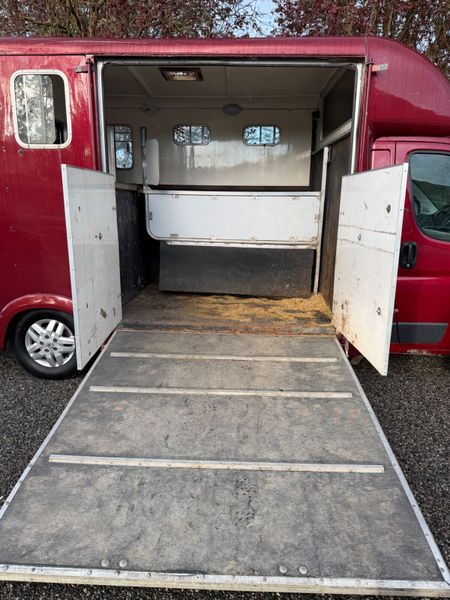 Peugeot Boxer Horse Transporter 4150KG 384481717