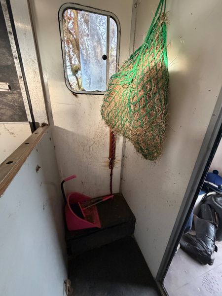 Peugeot Boxer Horse Transporter 4150KG 384481733