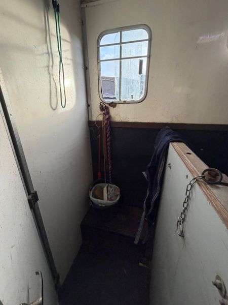 Peugeot Boxer Horse Transporter 4150KG 384481734