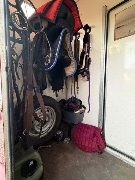 Peugeot Boxer Horse Transporter 4150KG 384481736