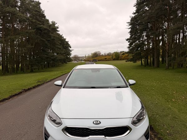 Kia Ceed 2021 2 Seat Commercial 385043456